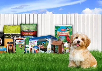 Central's products in front of a fence with a puppy in the foreground.