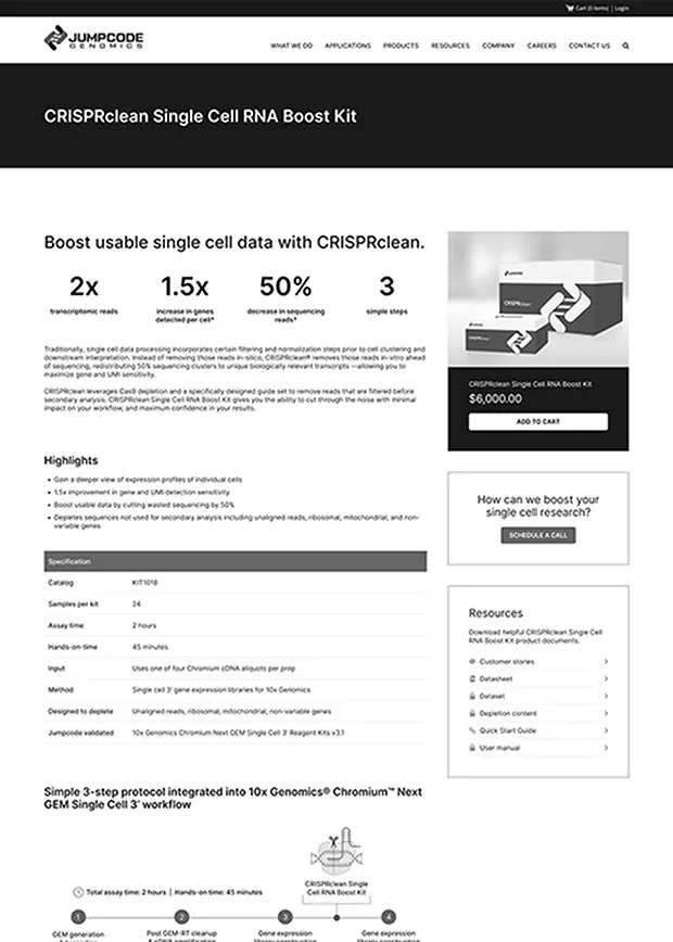 Wireframe Example 3
